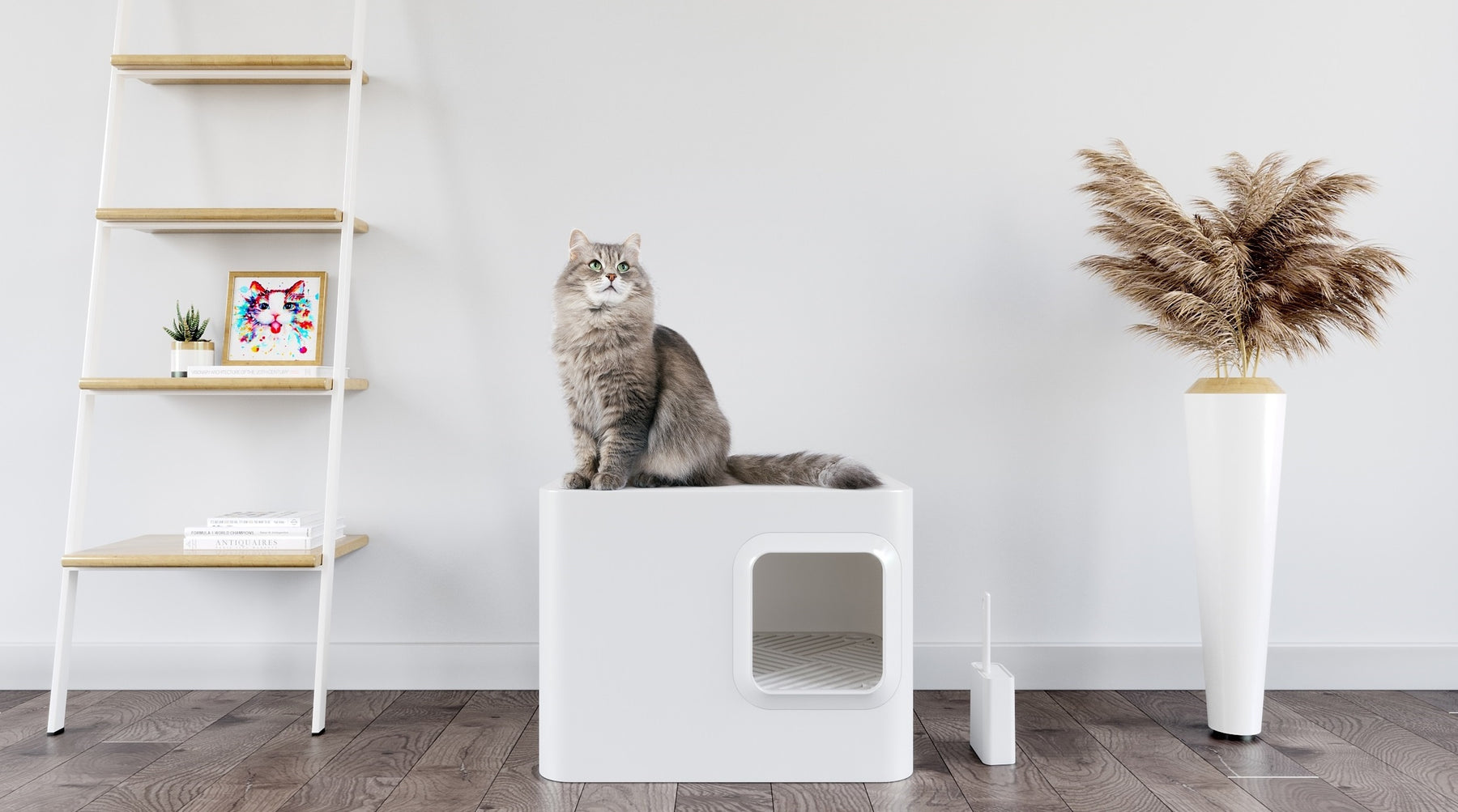 Best Cat Litter Box | Hidden Litter Box | Litter Box Enclosure