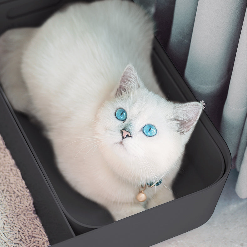 Litter Locker Cat Mat  Cat Grooming – Cat Cave Co