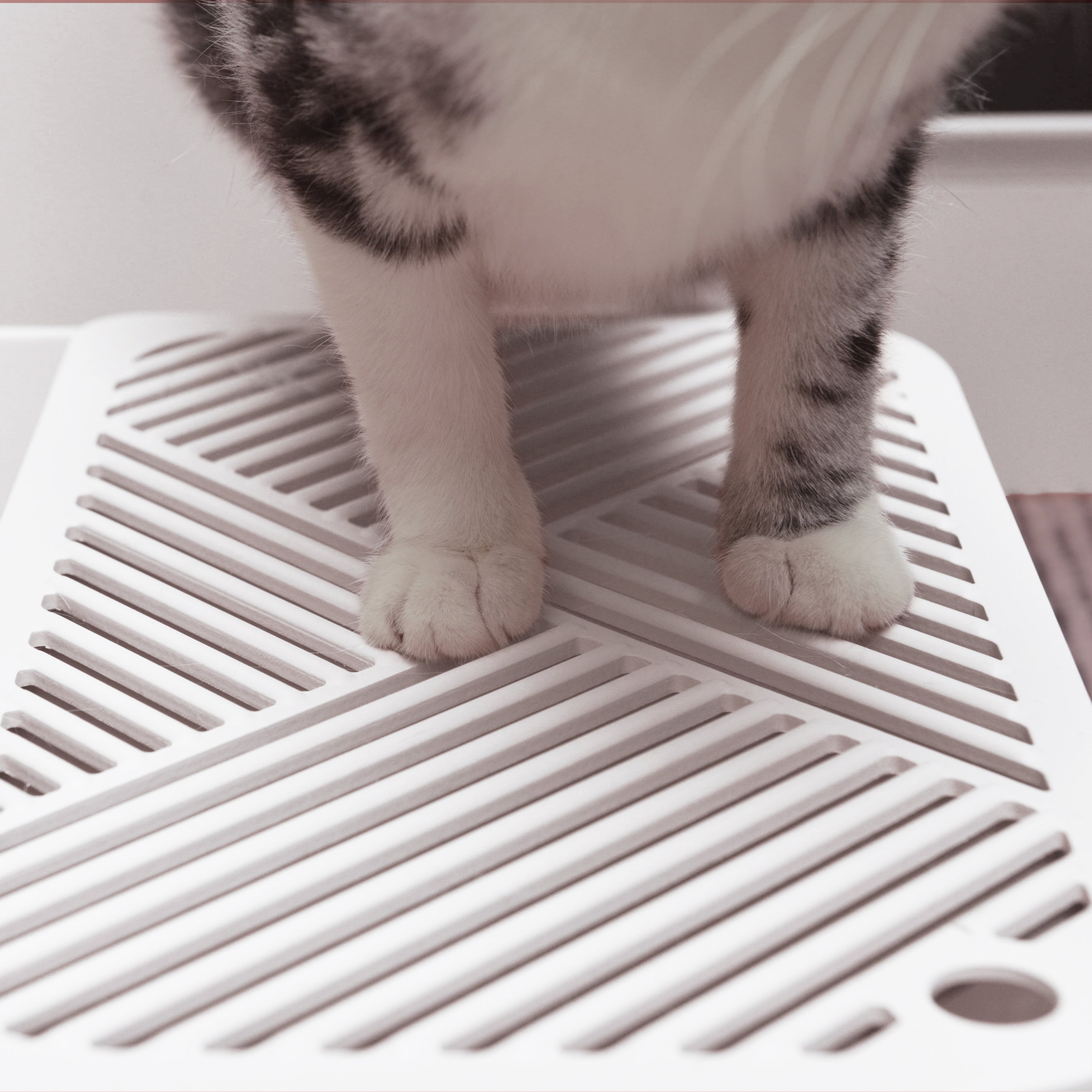 Meowy Studio Loo Cat Litter Box All in One Cover Litter Filter Plate Scoop and Holder in Aspen White
