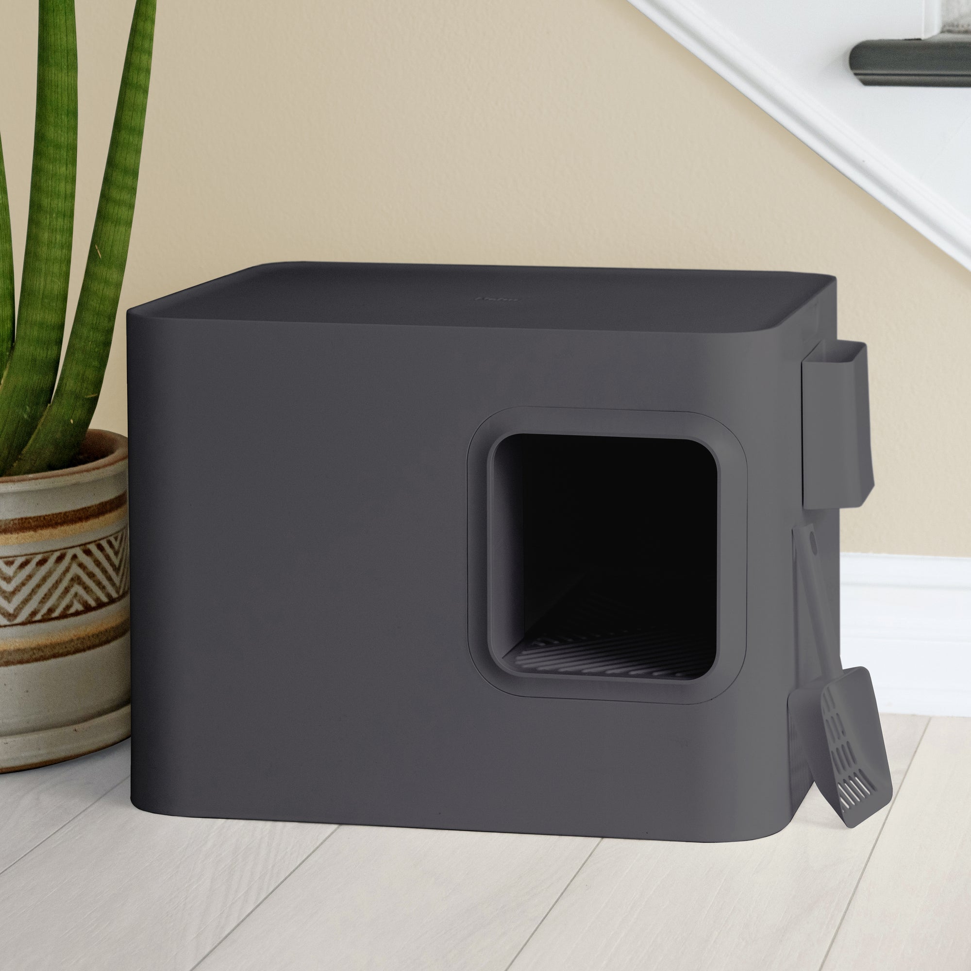 Loo Litter Box in Carbon Grey