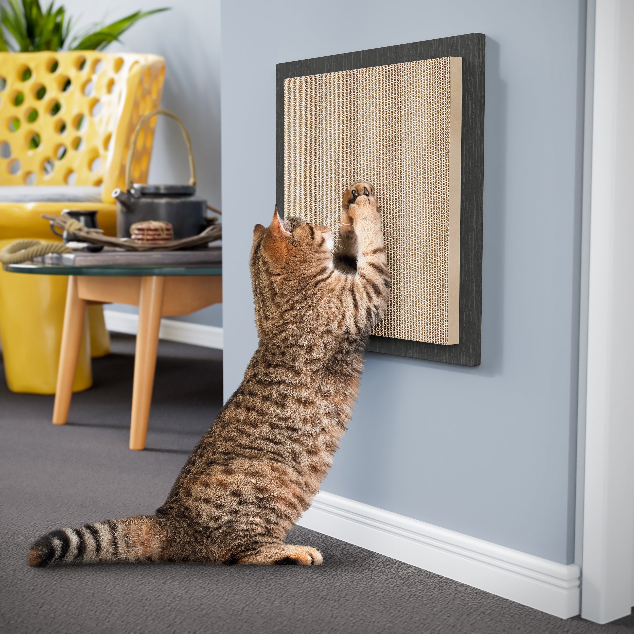 Cat clearance wall scratcher